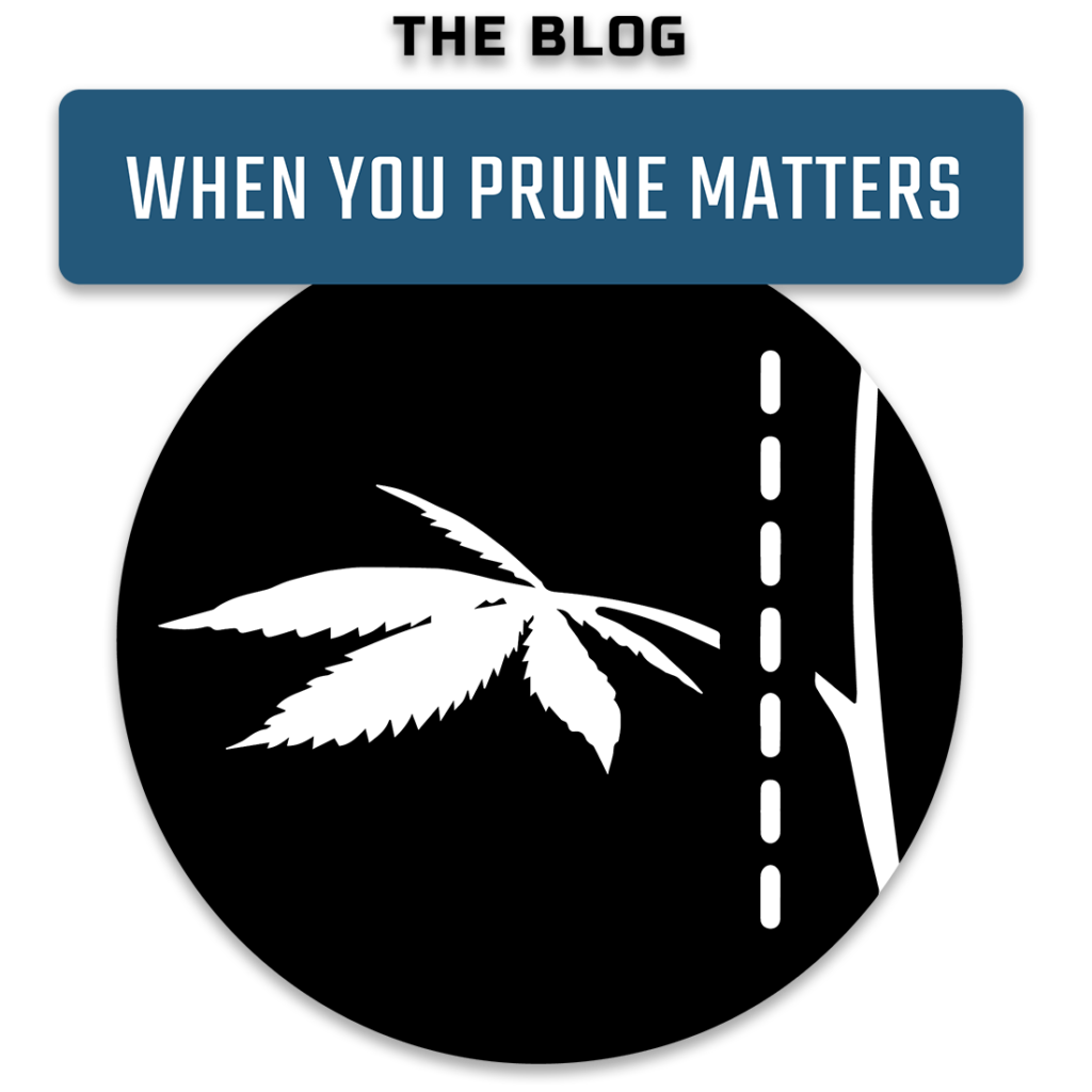When You Prune