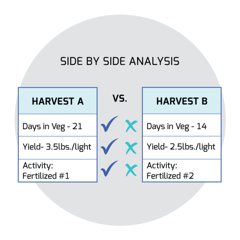 Features Benchmark Reports
