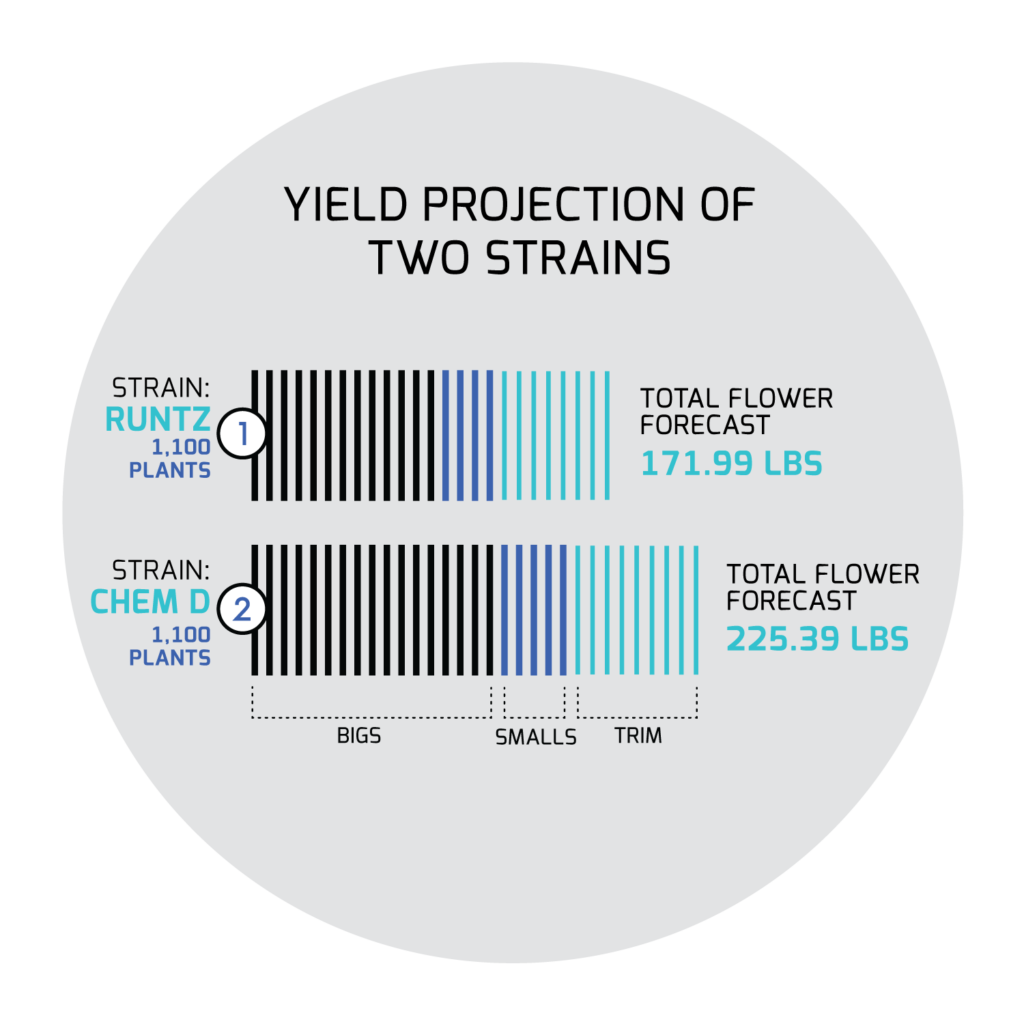 Features Harvest Forecast