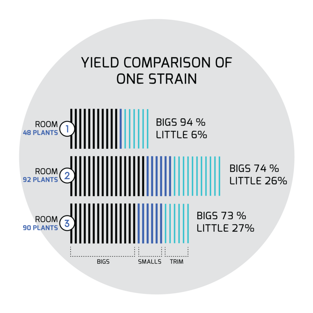 Features Strain Performance